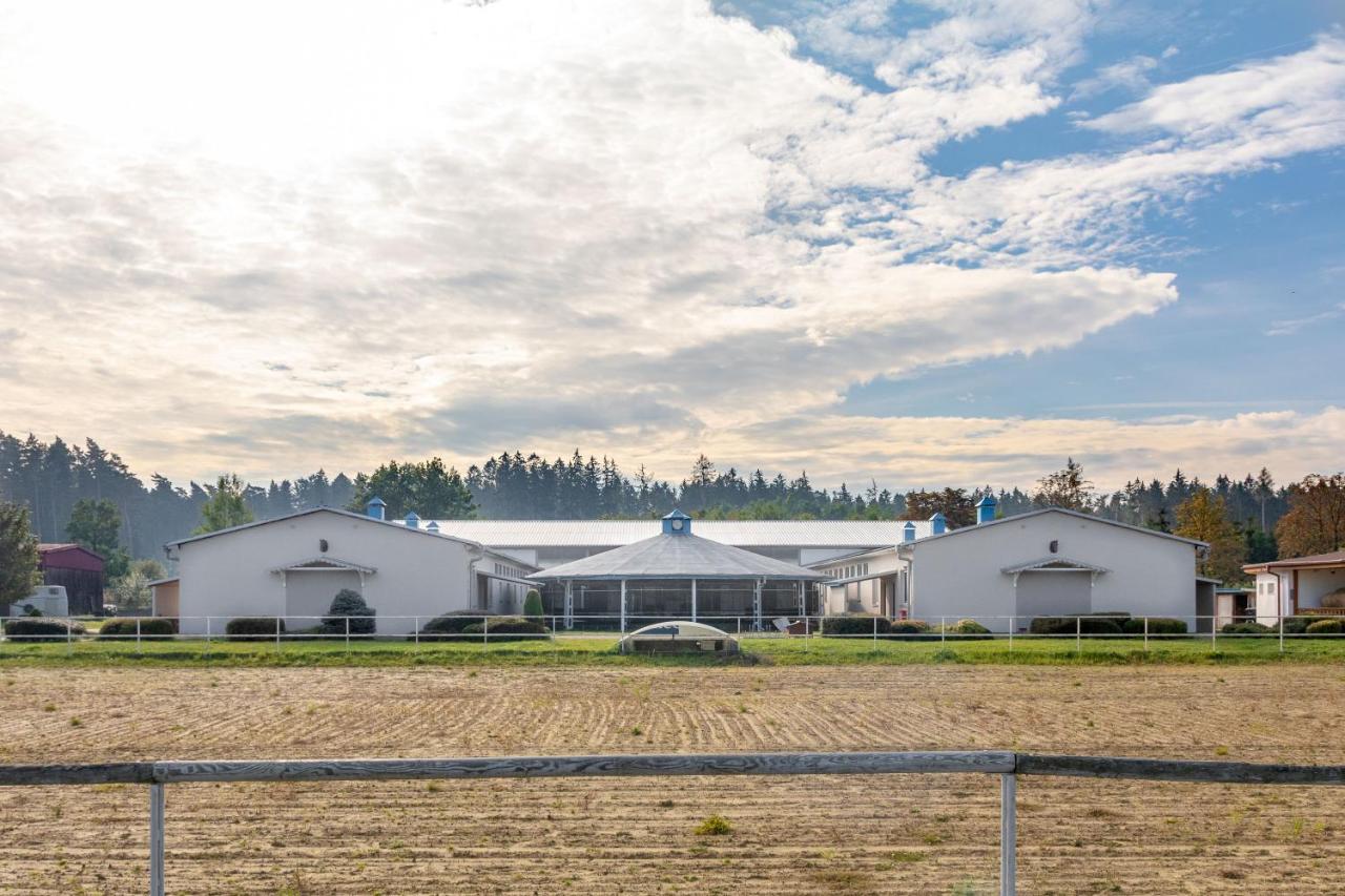 Farma Slunecny Dvur Apartmany A Family Stany Strecha Pod Strechou Hermanuv Mestec Buitenkant foto