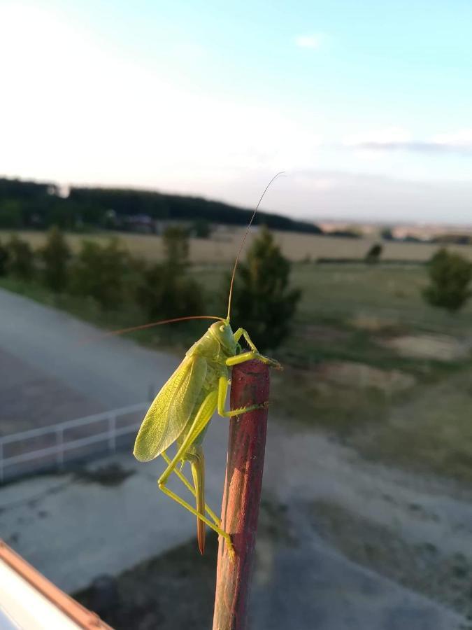 Farma Slunecny Dvur Apartmany A Family Stany Strecha Pod Strechou Hermanuv Mestec Buitenkant foto