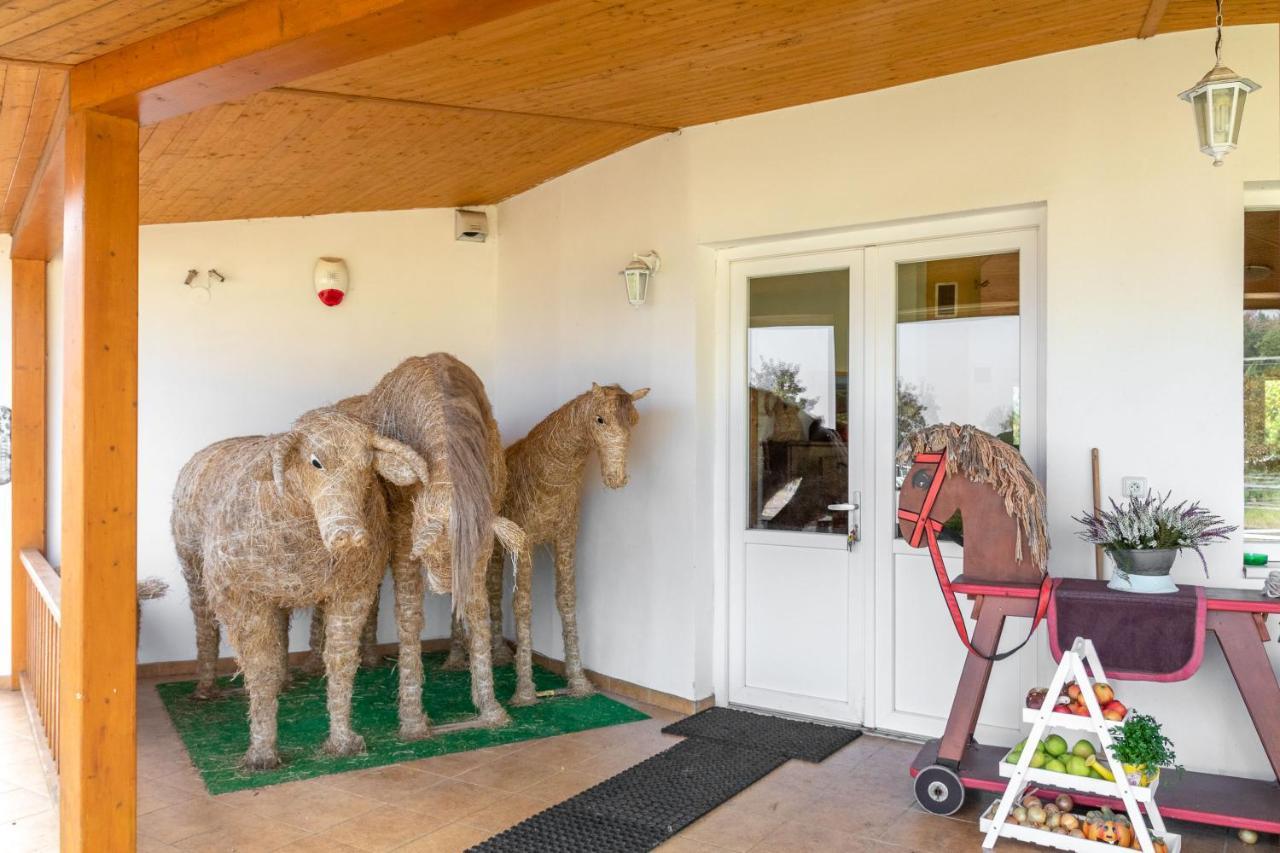 Farma Slunecny Dvur Apartmany A Family Stany Strecha Pod Strechou Hermanuv Mestec Buitenkant foto